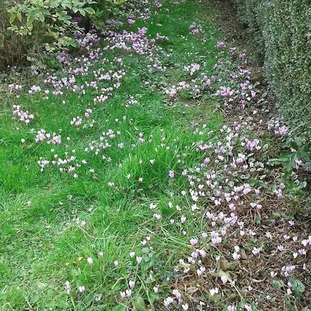 Le Perche Ceronnais 酒店 *