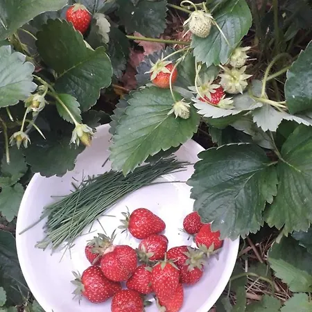 Le Perche Ceronnais *