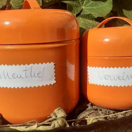 Le Perche Ceronnais Sainte-Ceronne-les-Mortagne