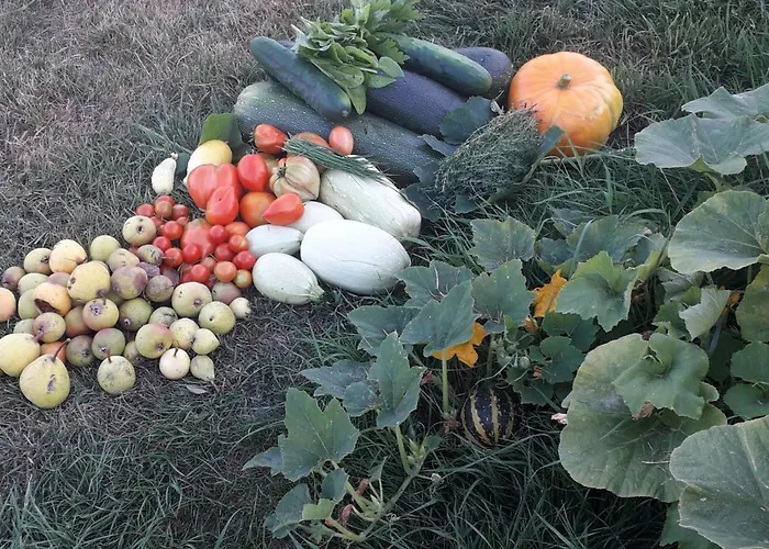 Le Perche Céronnais * Sainte-Ceronne-les-Mortagne