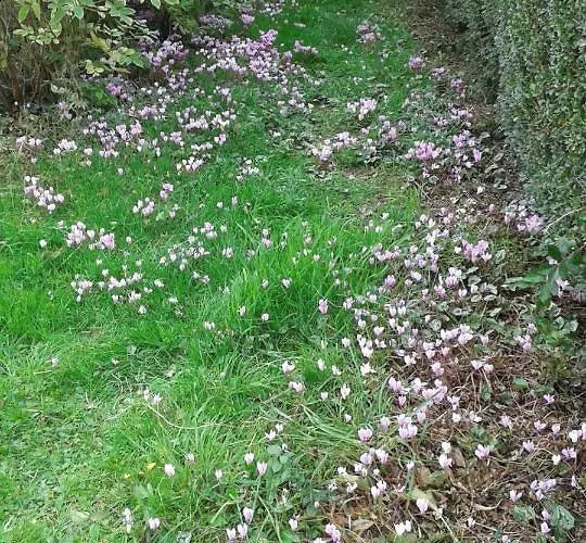 Le Perche Céronnais Hotel *