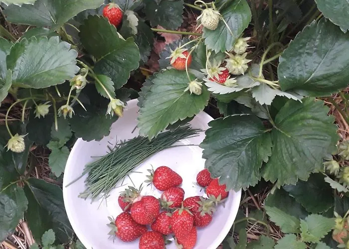 Le Perche Ceronnais *