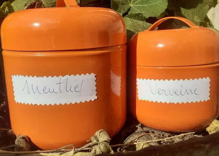 Le Perche Ceronnais Sainte-Ceronne-les-Mortagne