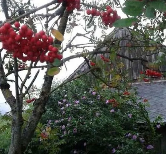 Le Perche Céronnais Hotel Sainte-Ceronne-les-Mortagne